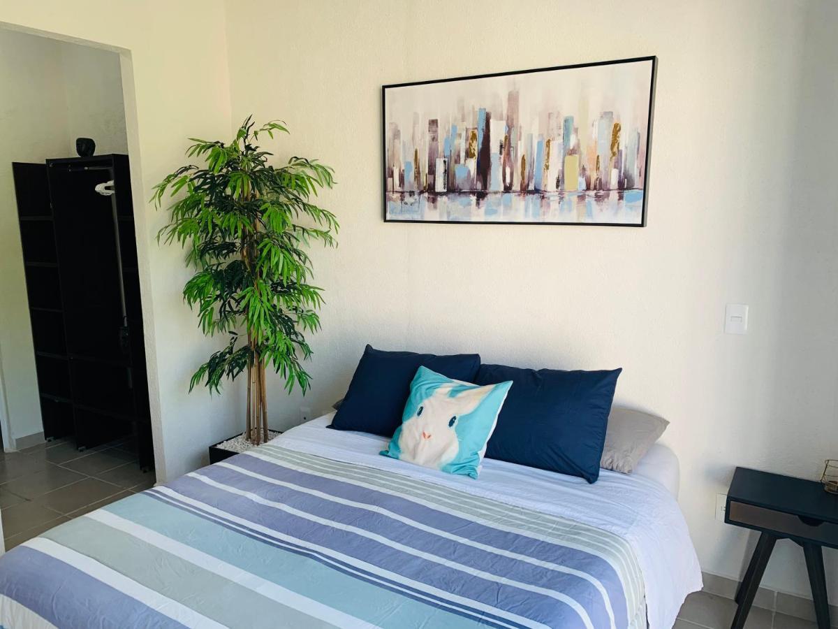 Franks House Luxury Apartment "Shared House" Cancún Exterior foto